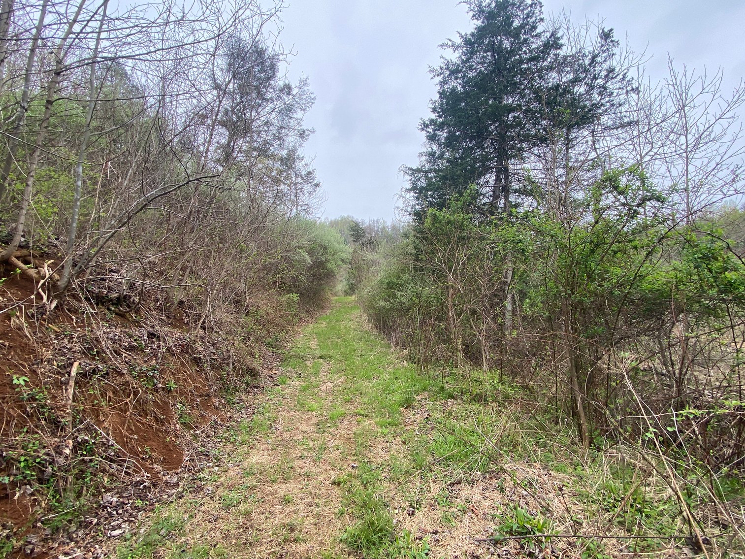 Image for BREATHTAKING MOUNTAIN VIEWS: Blue Ridge Estate Auction - 158-Acre Farm & Building Lot - Amherst, VA