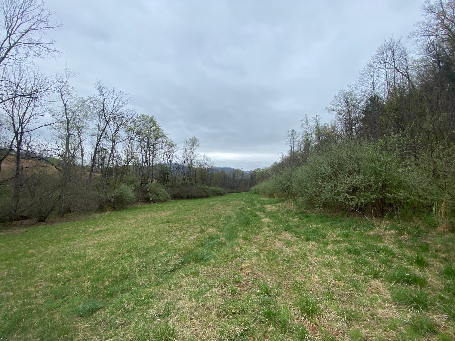 Image for BREATHTAKING MOUNTAIN VIEWS: Blue Ridge Estate Auction - 158-Acre Farm & Building Lot - Amherst, VA