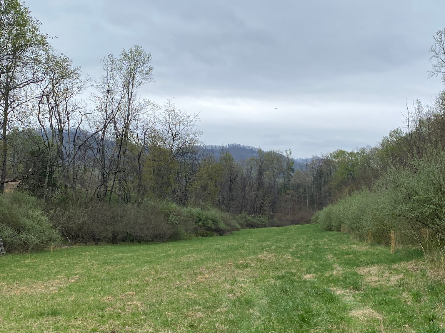 Image for BREATHTAKING MOUNTAIN VIEWS: Blue Ridge Estate Auction - 158-Acre Farm & Building Lot - Amherst, VA