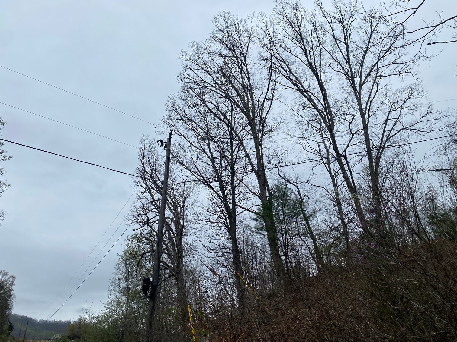 Image for BREATHTAKING MOUNTAIN VIEWS: Blue Ridge Estate Auction - 158-Acre Farm & Building Lot - Amherst, VA