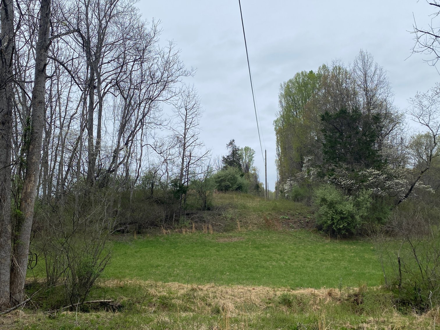 Image for BREATHTAKING MOUNTAIN VIEWS: Blue Ridge Estate Auction - 158-Acre Farm & Building Lot - Amherst, VA