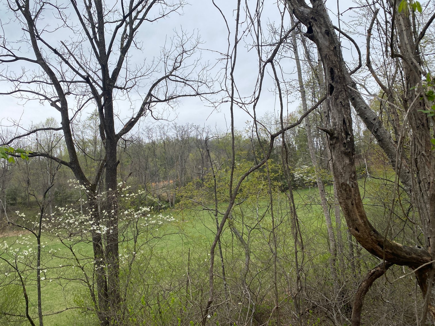 Image for BREATHTAKING MOUNTAIN VIEWS: Blue Ridge Estate Auction - 158-Acre Farm & Building Lot - Amherst, VA