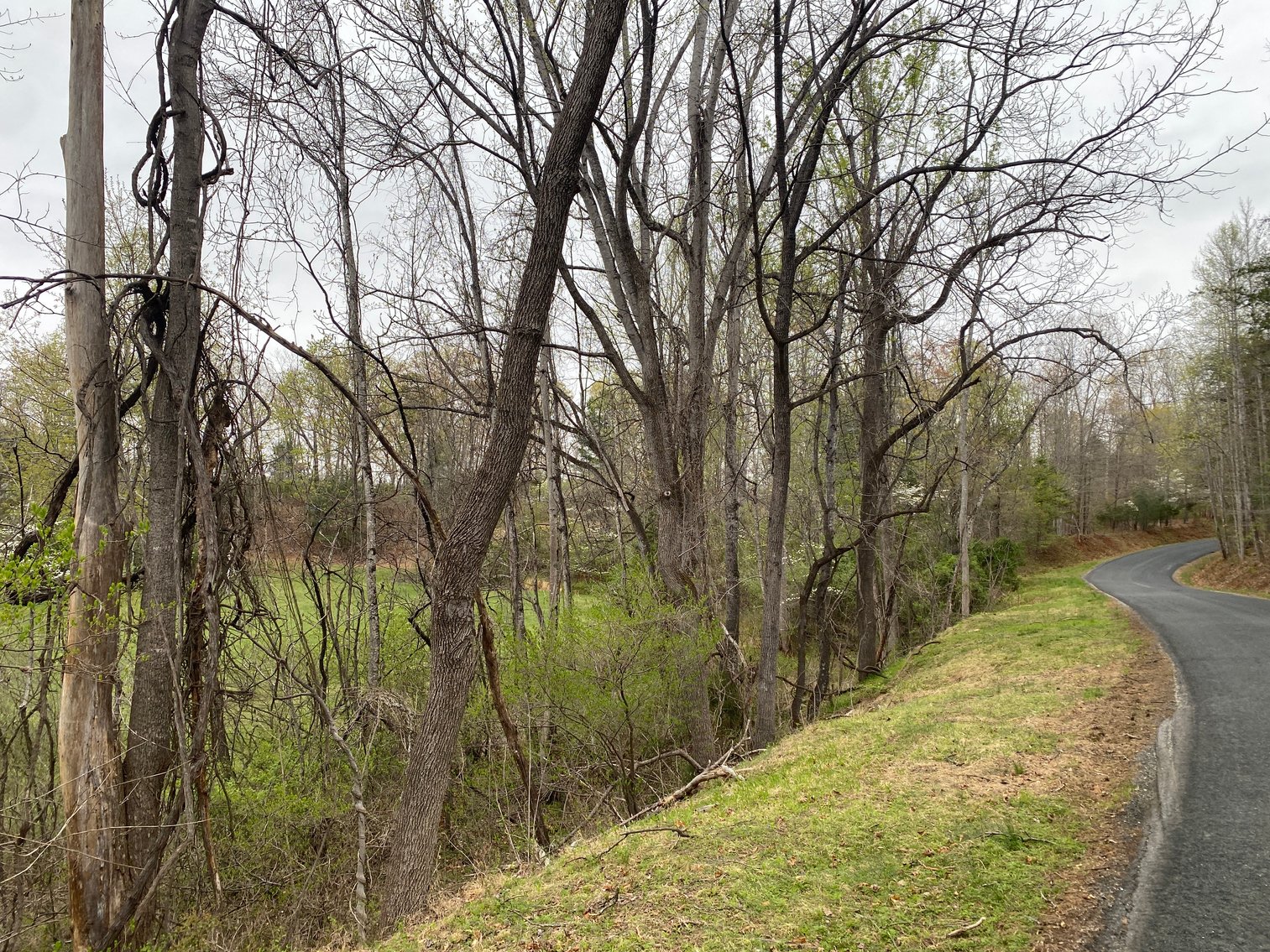 Image for BREATHTAKING MOUNTAIN VIEWS: Blue Ridge Estate Auction - 158-Acre Farm & Building Lot - Amherst, VA