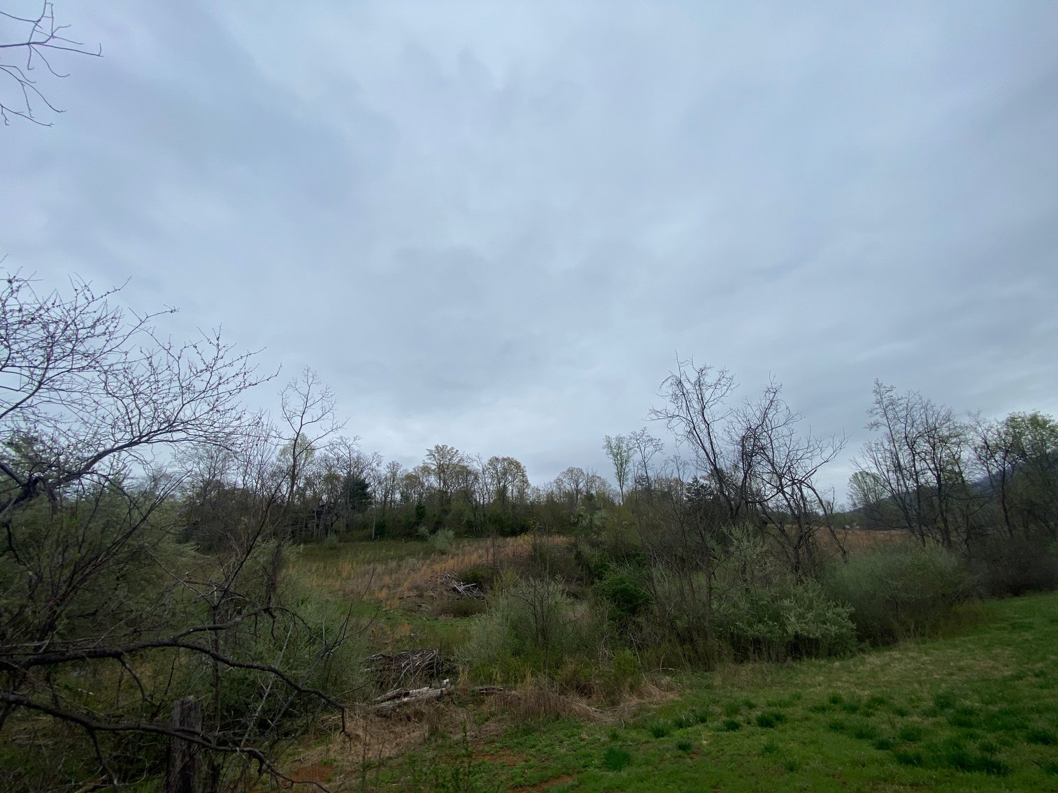 Image for BREATHTAKING MOUNTAIN VIEWS: Blue Ridge Estate Auction - 158-Acre Farm & Building Lot - Amherst, VA