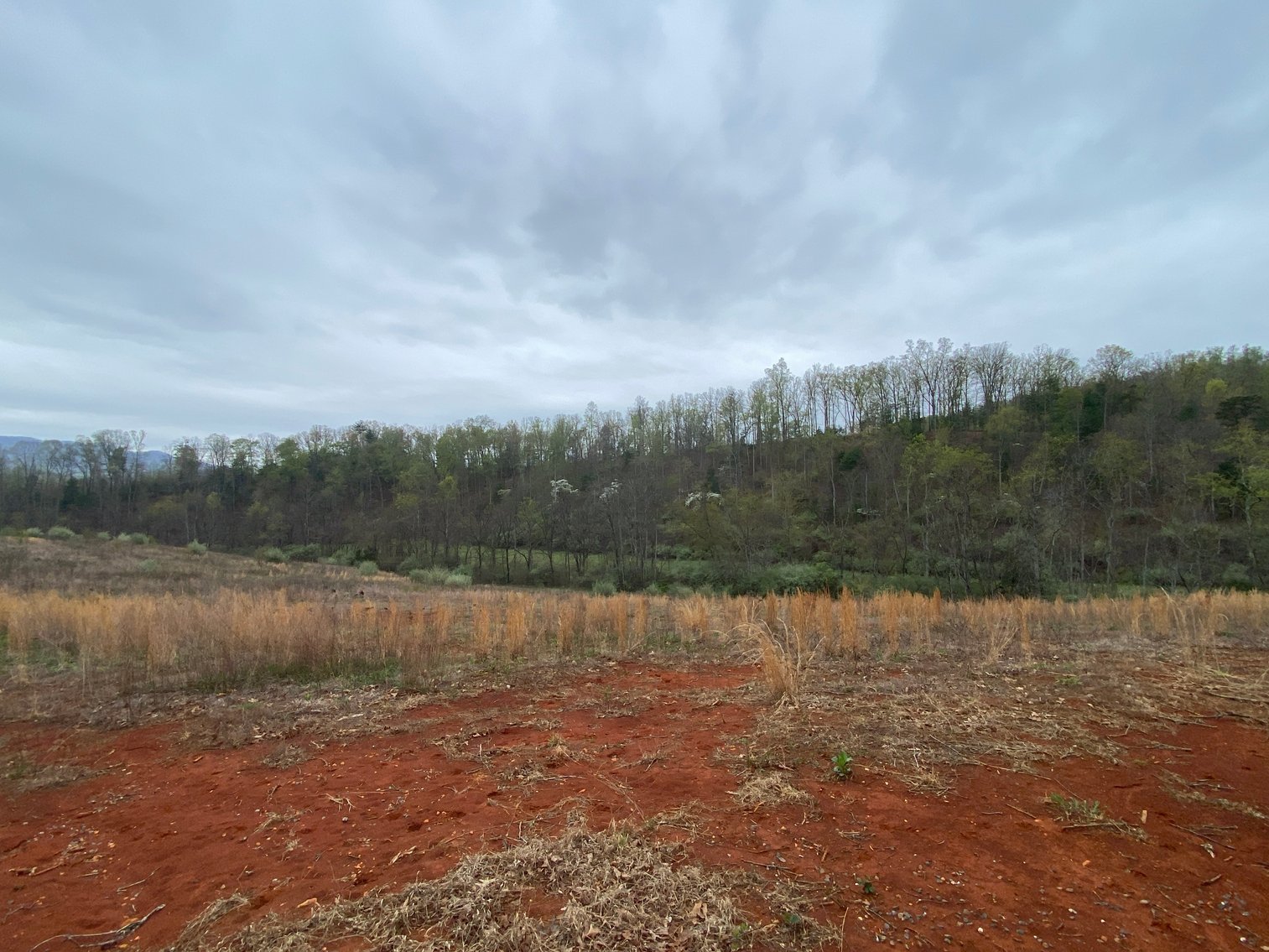 Image for BREATHTAKING MOUNTAIN VIEWS: Blue Ridge Estate Auction - 158-Acre Farm & Building Lot - Amherst, VA