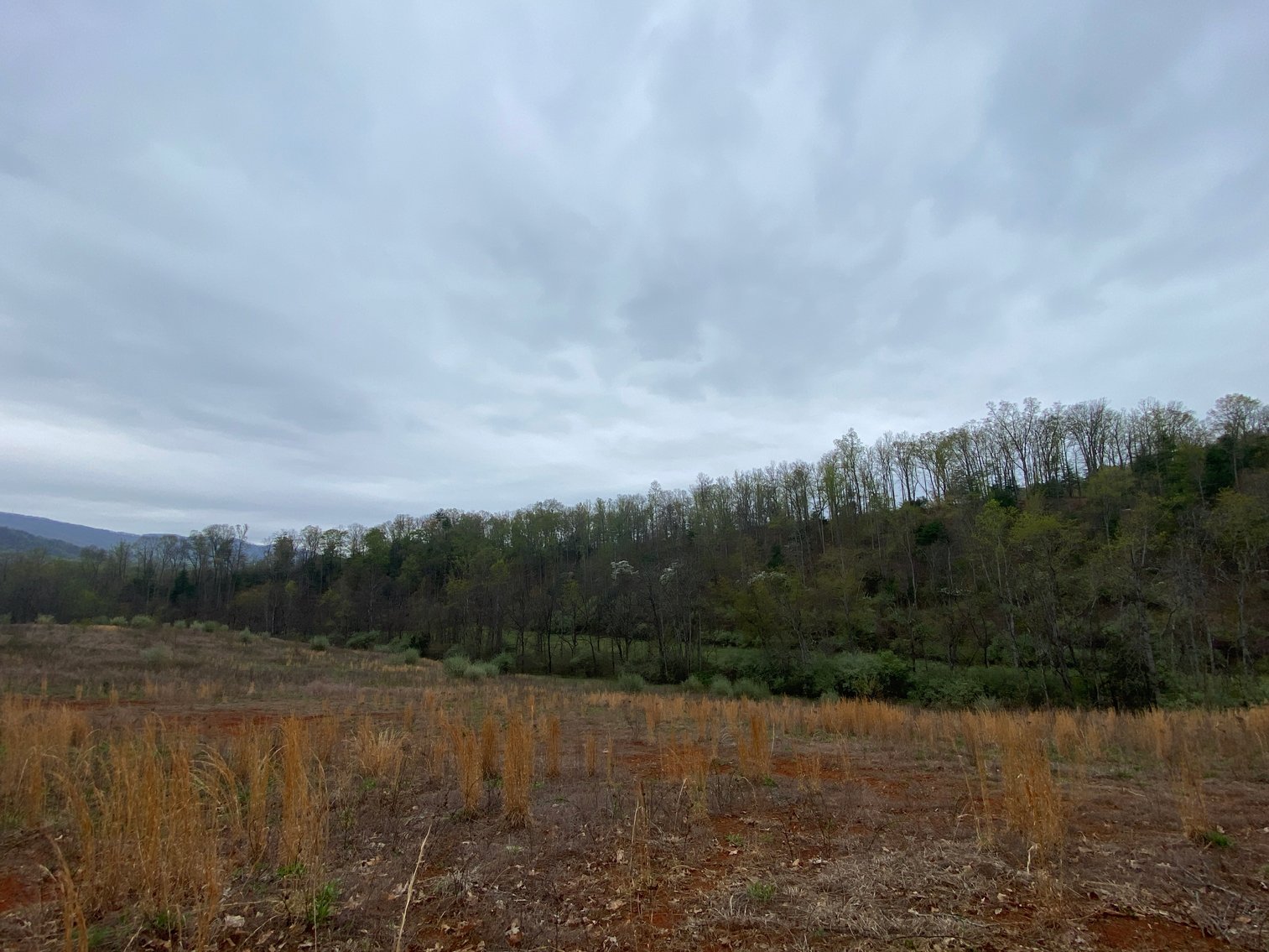 Image for BREATHTAKING MOUNTAIN VIEWS: Blue Ridge Estate Auction - 158-Acre Farm & Building Lot - Amherst, VA