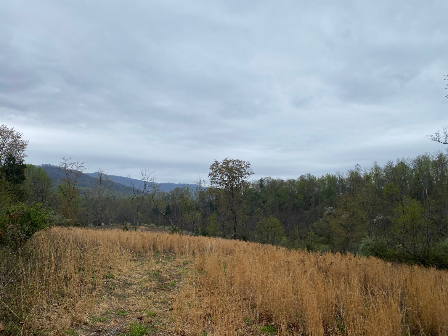 Image for BREATHTAKING MOUNTAIN VIEWS: Blue Ridge Estate Auction - 158-Acre Farm & Building Lot - Amherst, VA
