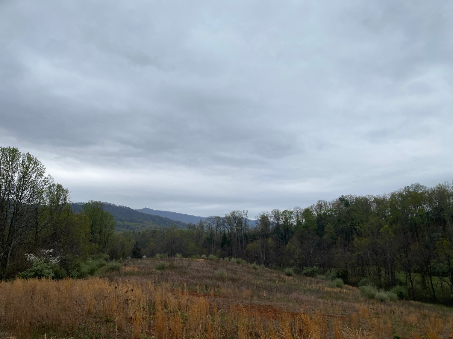 Image for BREATHTAKING MOUNTAIN VIEWS: Blue Ridge Estate Auction - 158-Acre Farm & Building Lot - Amherst, VA