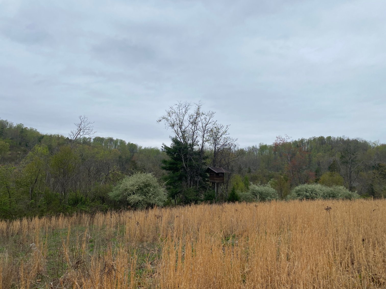 Image for BREATHTAKING MOUNTAIN VIEWS: Blue Ridge Estate Auction - 158-Acre Farm & Building Lot - Amherst, VA