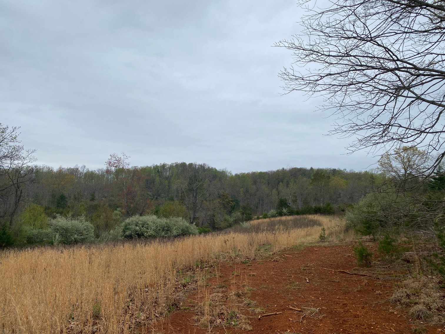 Image for BREATHTAKING MOUNTAIN VIEWS: Blue Ridge Estate Auction - 158-Acre Farm & Building Lot - Amherst, VA