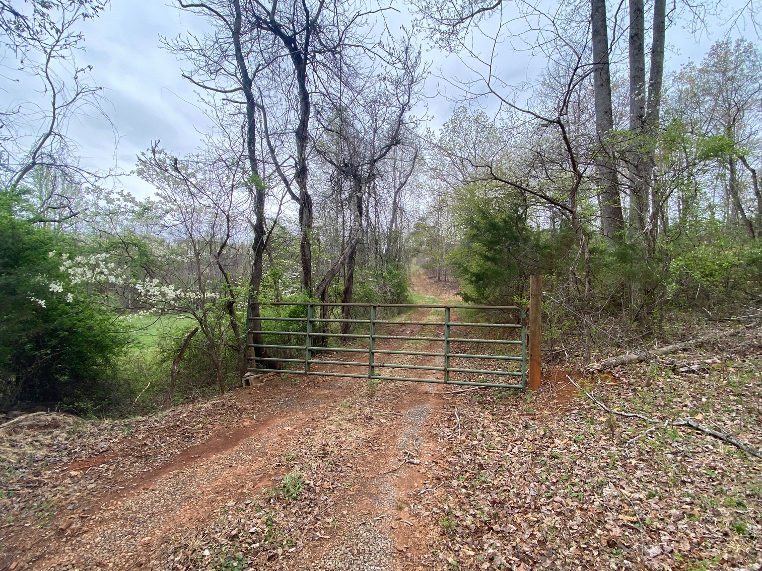 Image for BREATHTAKING MOUNTAIN VIEWS: Blue Ridge Estate Auction - 158-Acre Farm & Building Lot - Amherst, VA