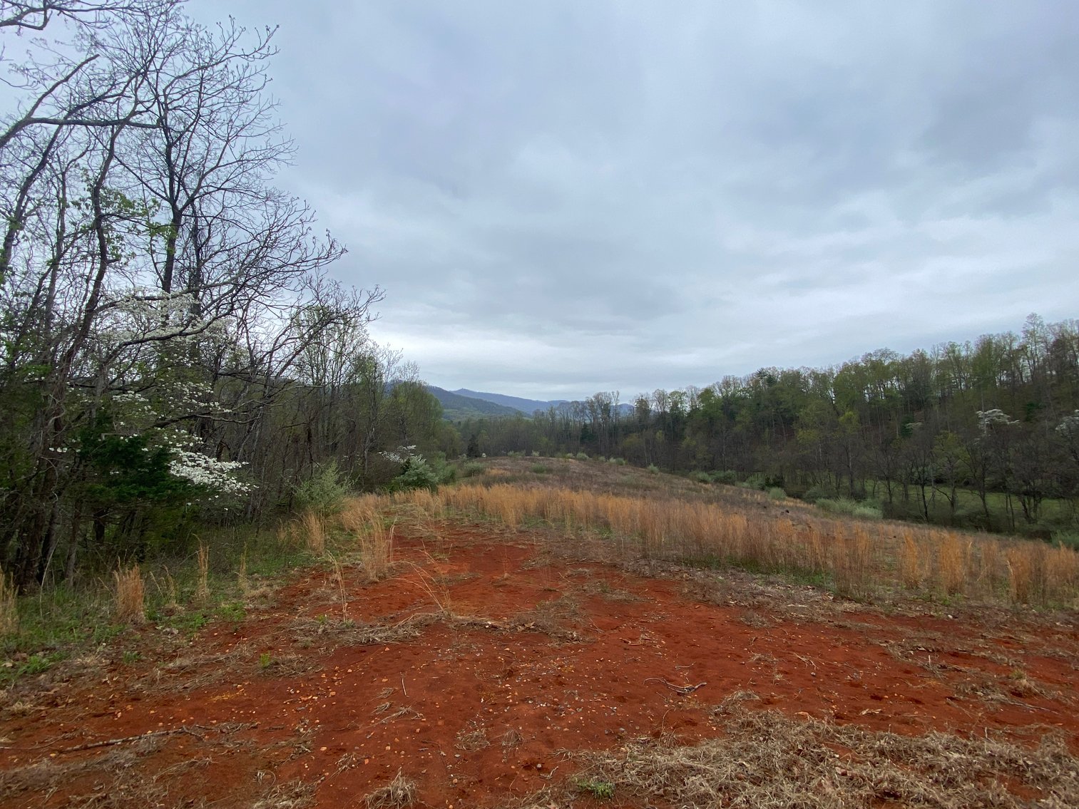 Image for BREATHTAKING MOUNTAIN VIEWS: Blue Ridge Estate Auction - 158-Acre Farm & Building Lot - Amherst, VA