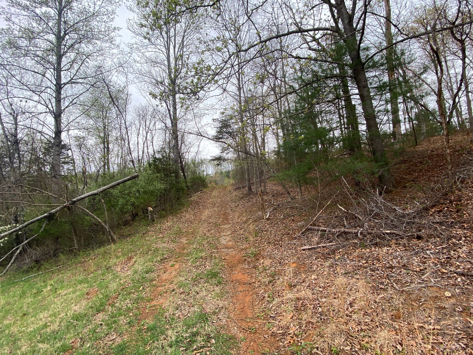 Image for BREATHTAKING MOUNTAIN VIEWS: Blue Ridge Estate Auction - 158-Acre Farm & Building Lot - Amherst, VA