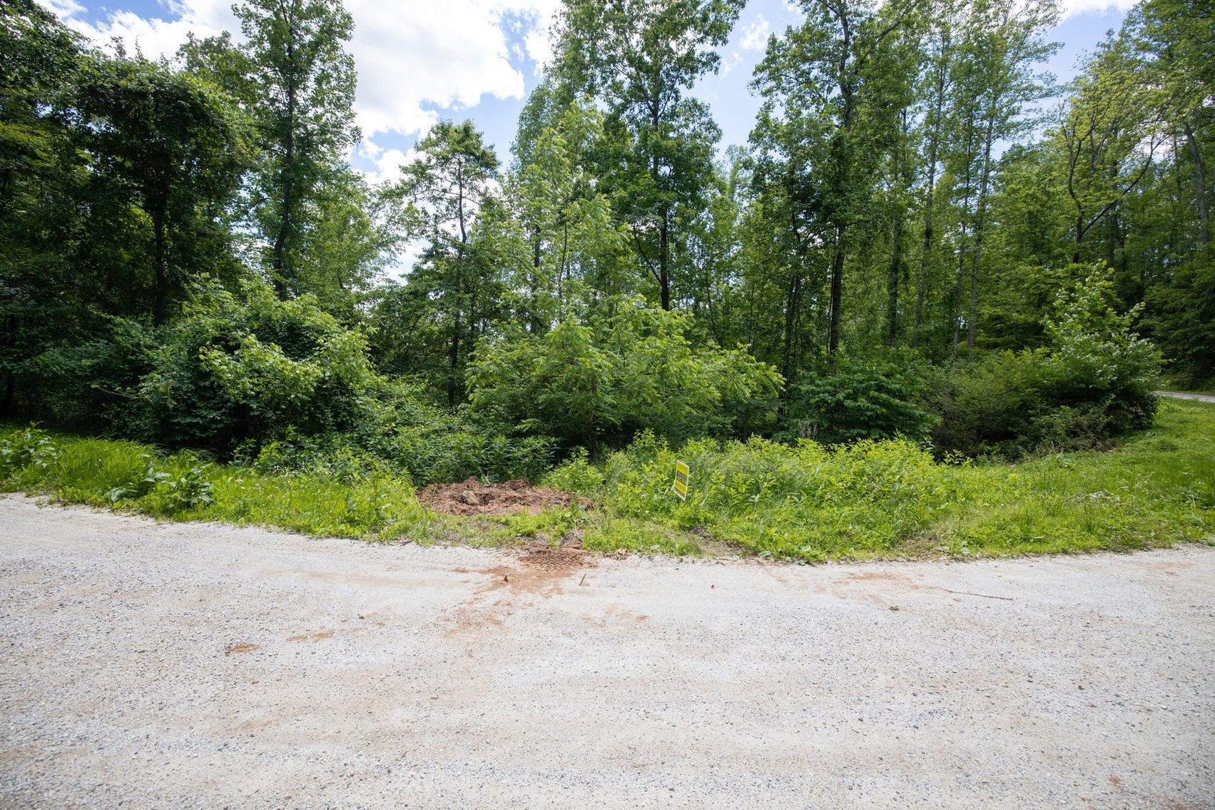 Image for BREATHTAKING MOUNTAIN VIEWS: Blue Ridge Estate Auction - 158-Acre Farm & Building Lot - Amherst, VA