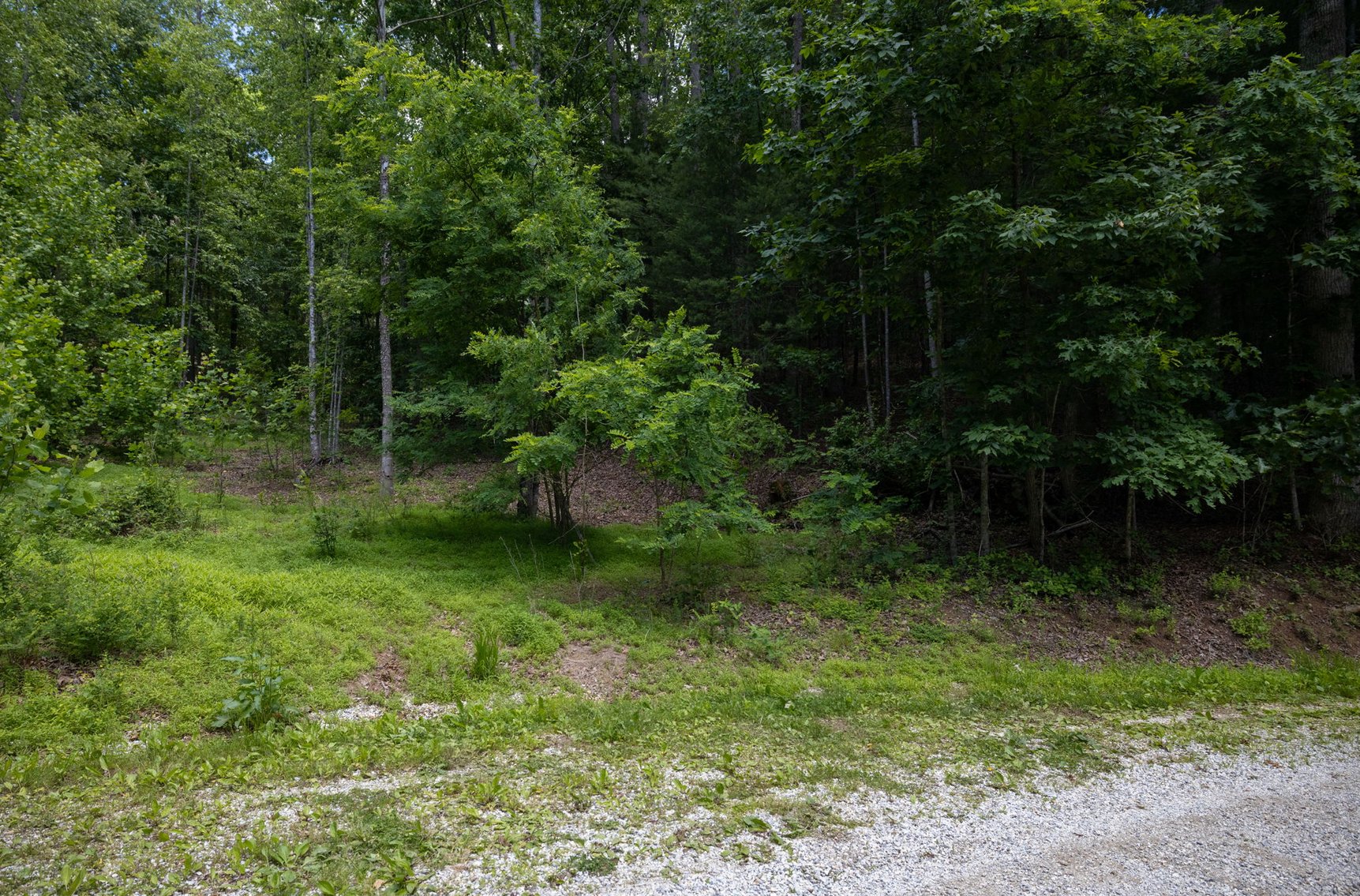 Image for BREATHTAKING MOUNTAIN VIEWS: Blue Ridge Estate Auction - 158-Acre Farm & Building Lot - Amherst, VA