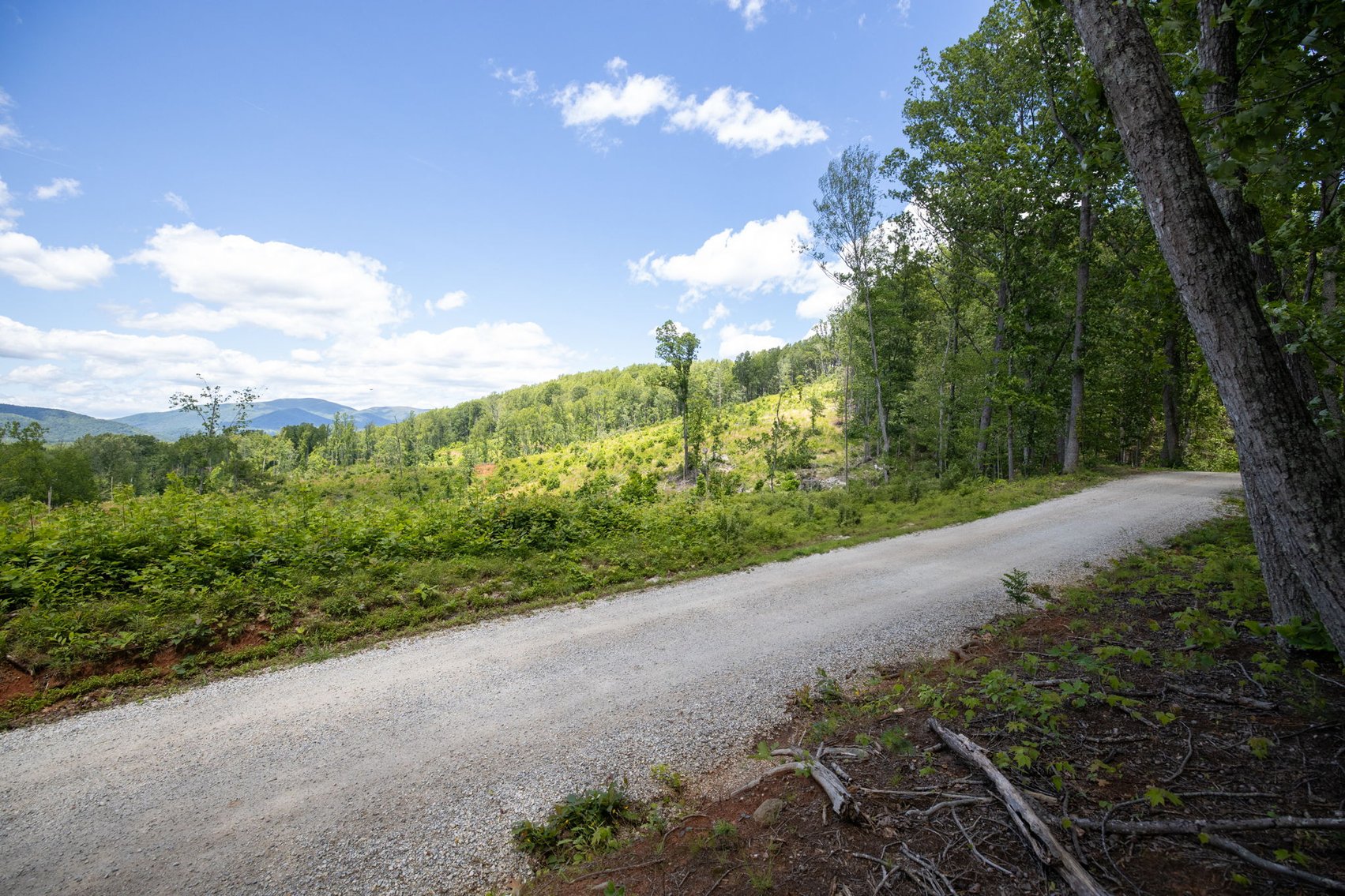 Image for BREATHTAKING MOUNTAIN VIEWS: Blue Ridge Estate Auction - 158-Acre Farm & Building Lot - Amherst, VA
