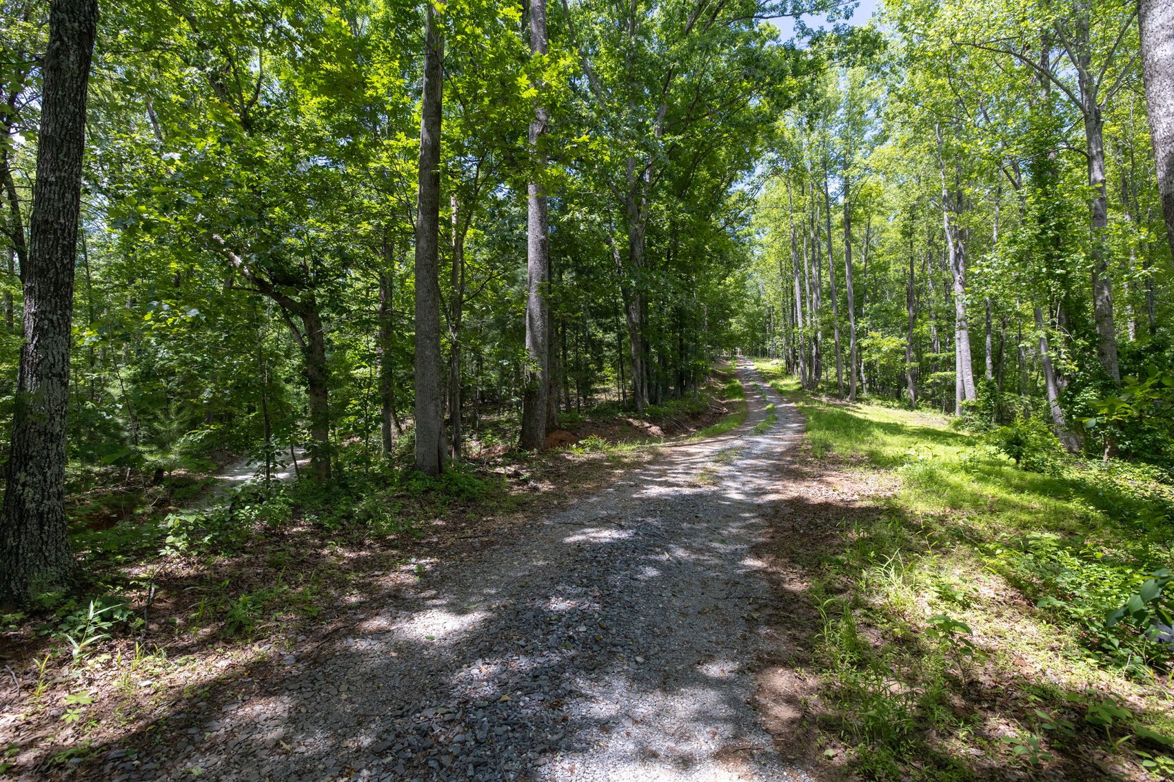 Image for BREATHTAKING MOUNTAIN VIEWS: Blue Ridge Estate Auction - 158-Acre Farm & Building Lot - Amherst, VA