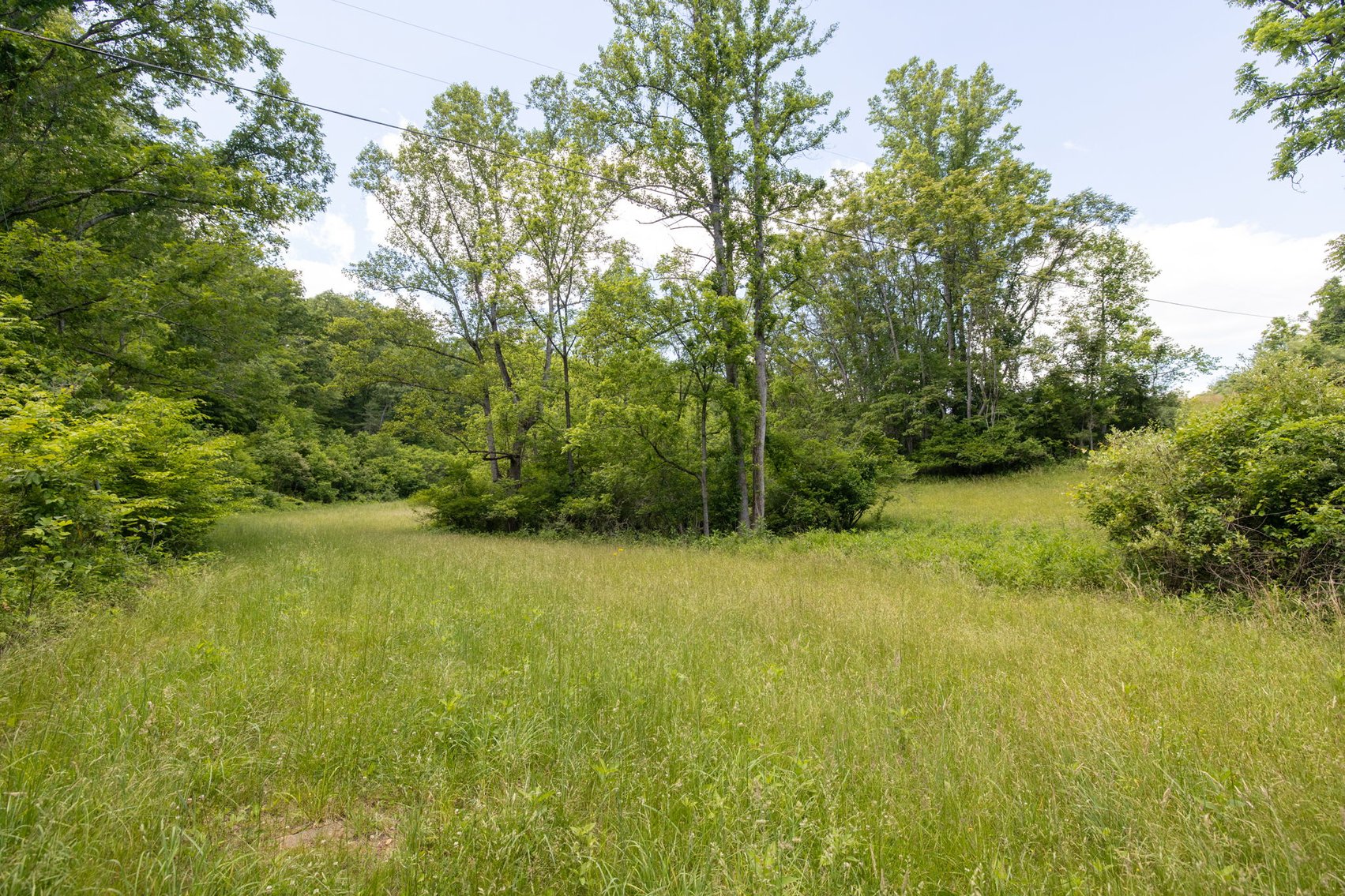 Image for BREATHTAKING MOUNTAIN VIEWS: Blue Ridge Estate Auction - 158-Acre Farm & Building Lot - Amherst, VA