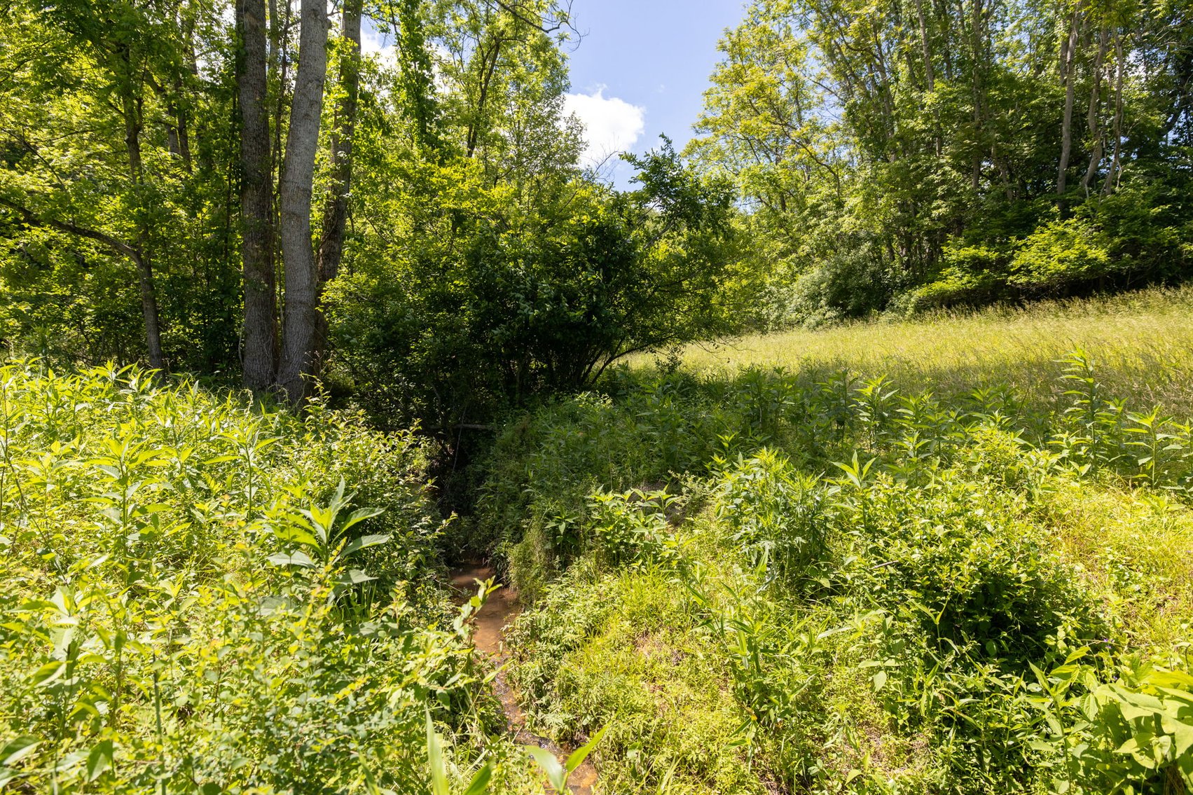 Image for BREATHTAKING MOUNTAIN VIEWS: Blue Ridge Estate Auction - 158-Acre Farm & Building Lot - Amherst, VA