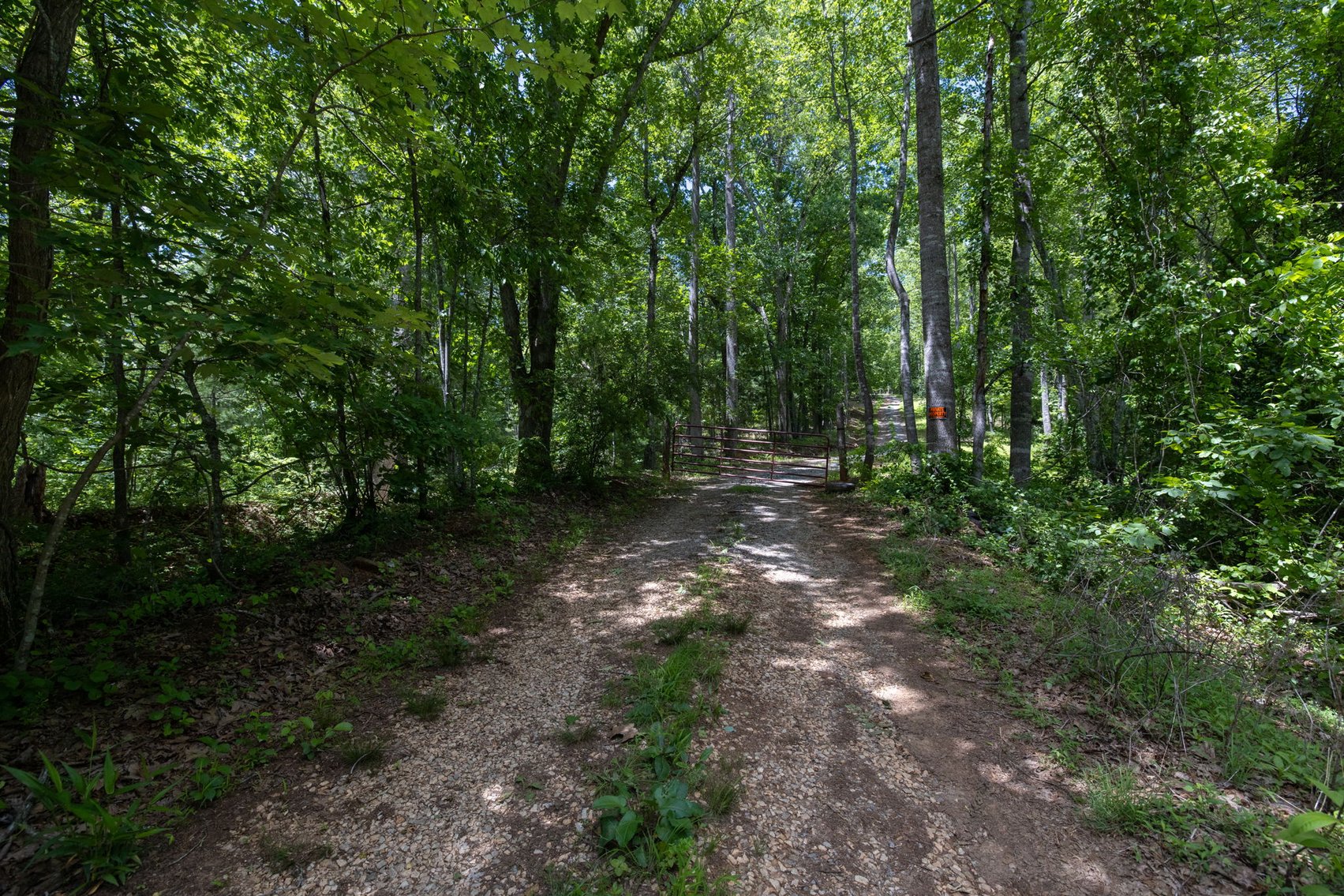 Image for BREATHTAKING MOUNTAIN VIEWS: Blue Ridge Estate Auction - 158-Acre Farm & Building Lot - Amherst, VA