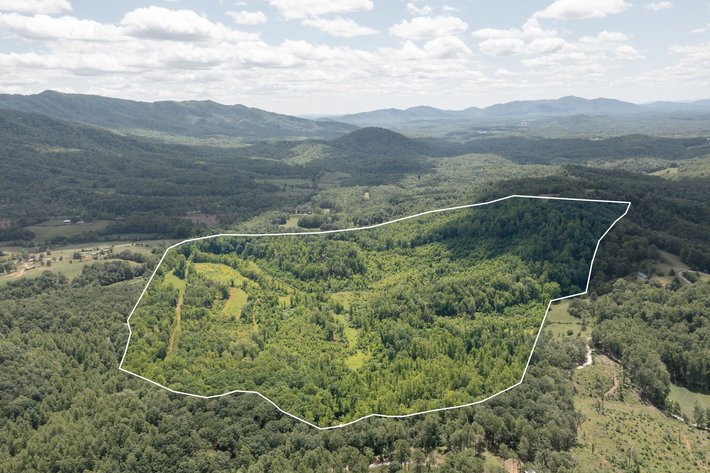 Image for BREATHTAKING MOUNTAIN VIEWS: Blue Ridge Estate Auction - 158-Acre Farm & Building Lot - Amherst, VA