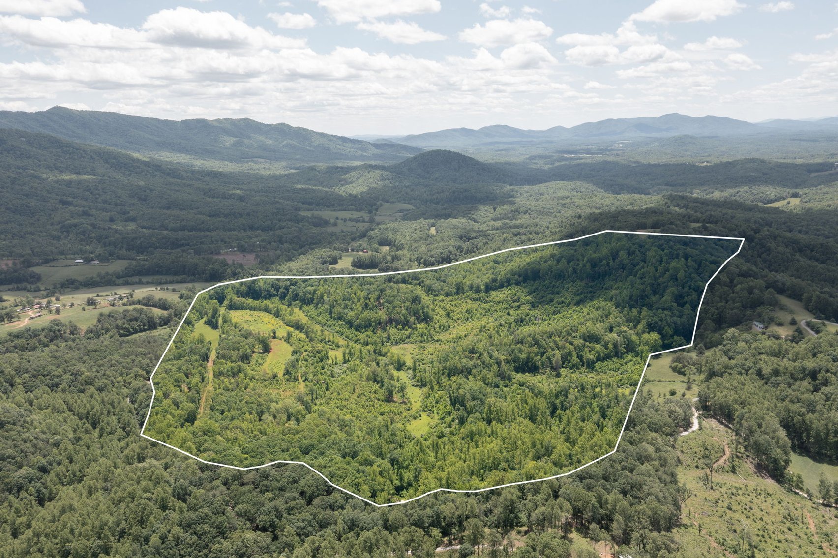 Image for BREATHTAKING MOUNTAIN VIEWS: Blue Ridge Estate Auction - 158-Acre Farm & Building Lot - Amherst, VA