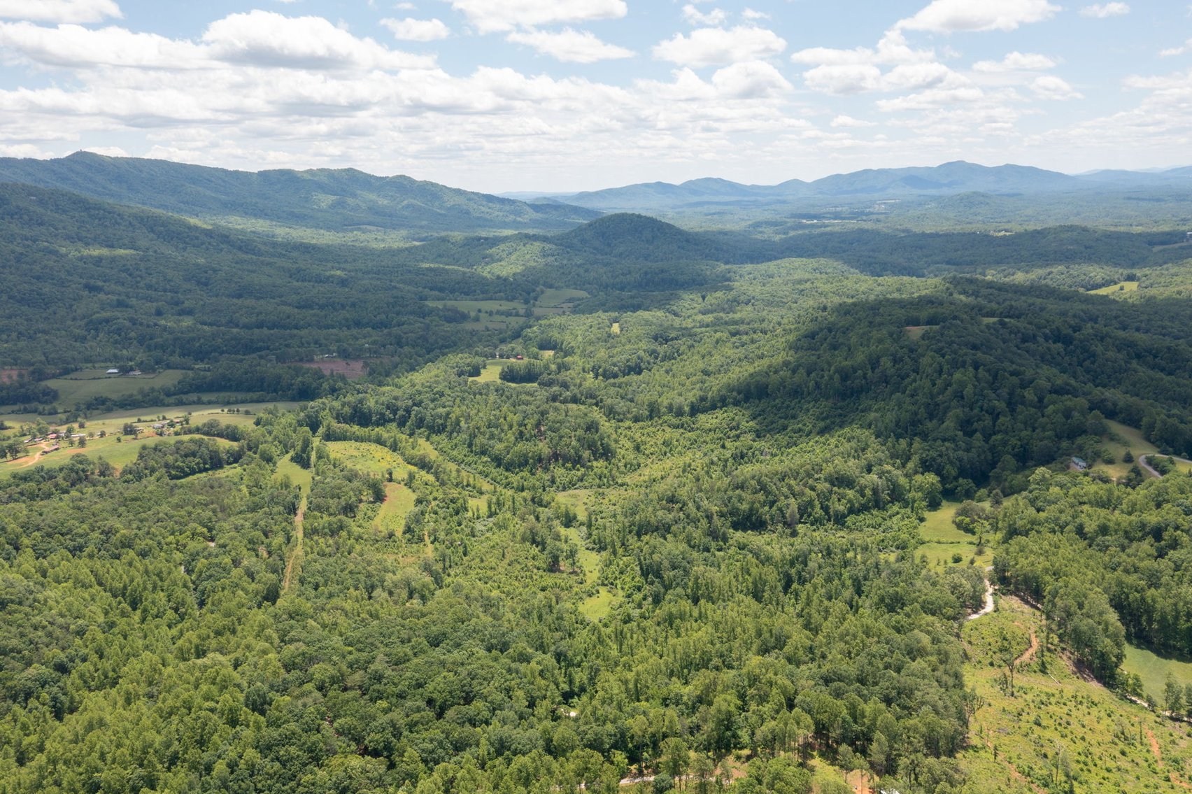 Image for BREATHTAKING MOUNTAIN VIEWS: Blue Ridge Estate Auction - 158-Acre Farm & Building Lot - Amherst, VA