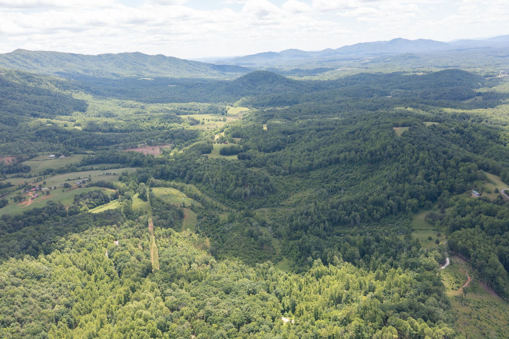 Image for BREATHTAKING MOUNTAIN VIEWS: Blue Ridge Estate Auction - 158-Acre Farm & Building Lot - Amherst, VA