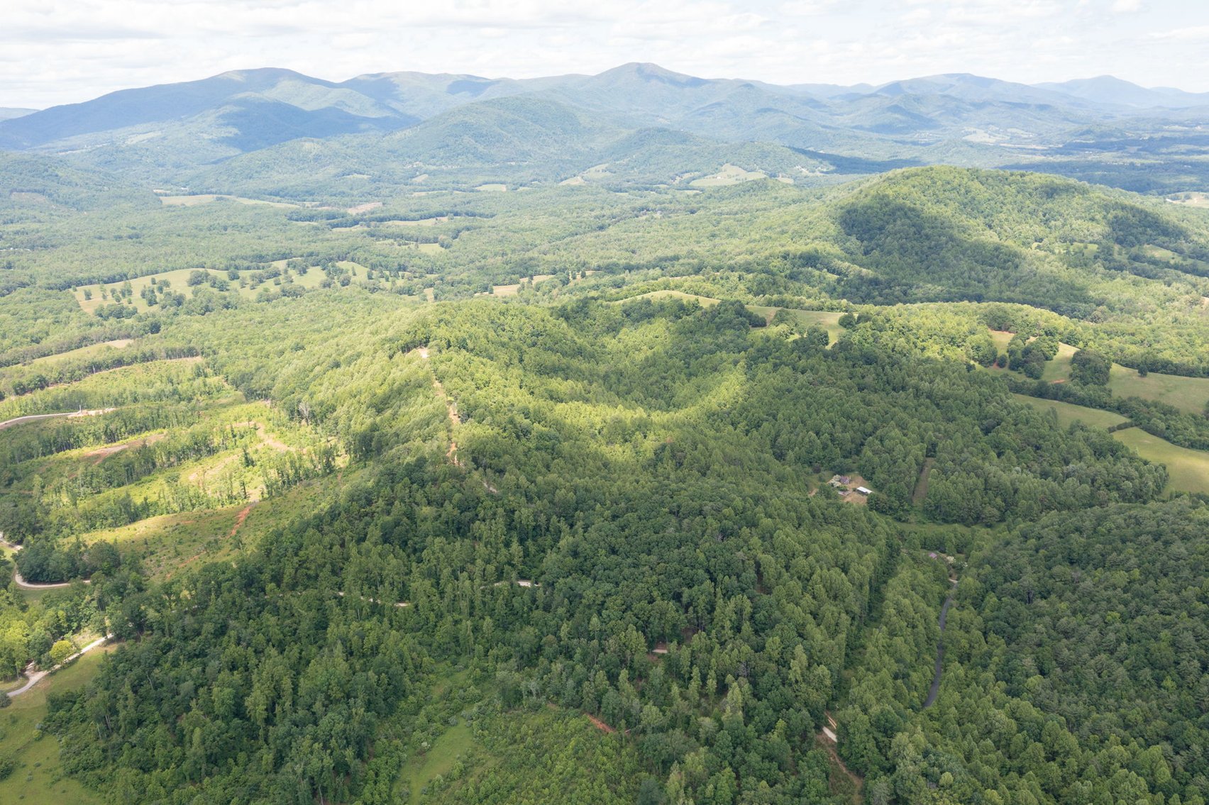 Image for BREATHTAKING MOUNTAIN VIEWS: Blue Ridge Estate Auction - 158-Acre Farm & Building Lot - Amherst, VA