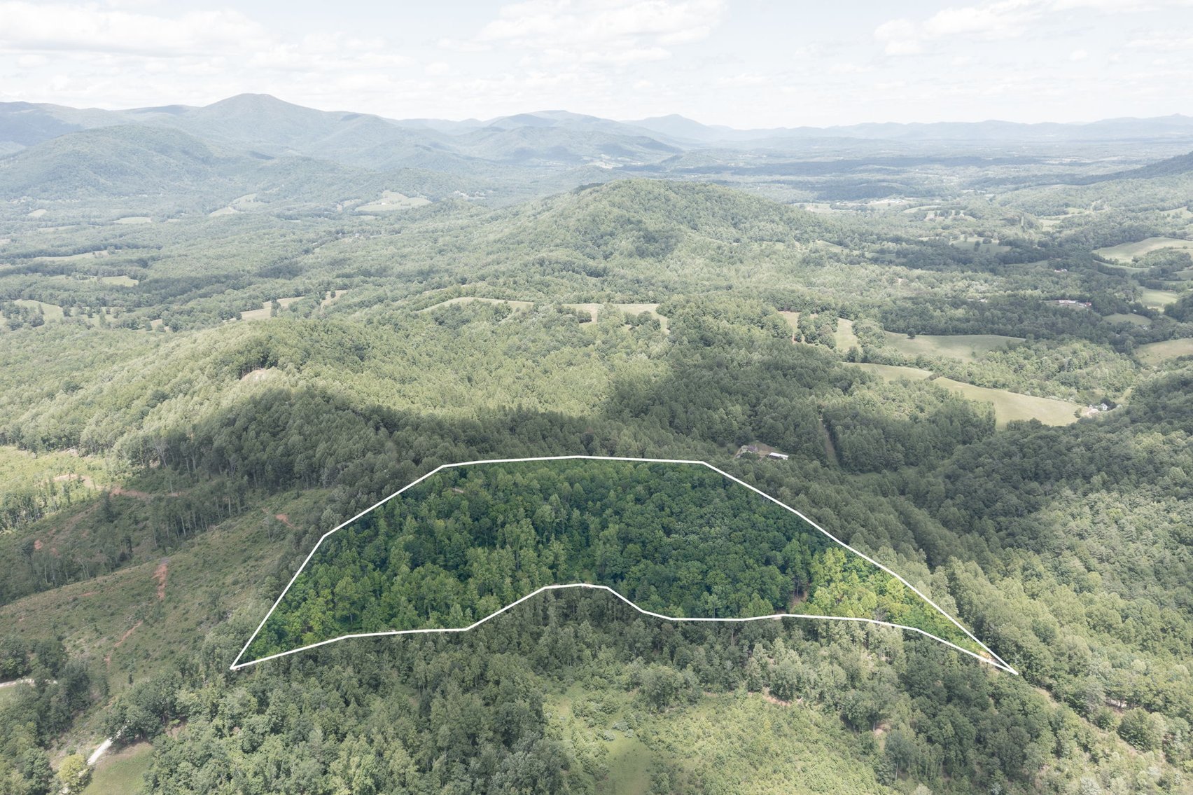 Image for BREATHTAKING MOUNTAIN VIEWS: Blue Ridge Estate Auction - 158-Acre Farm & Building Lot - Amherst, VA