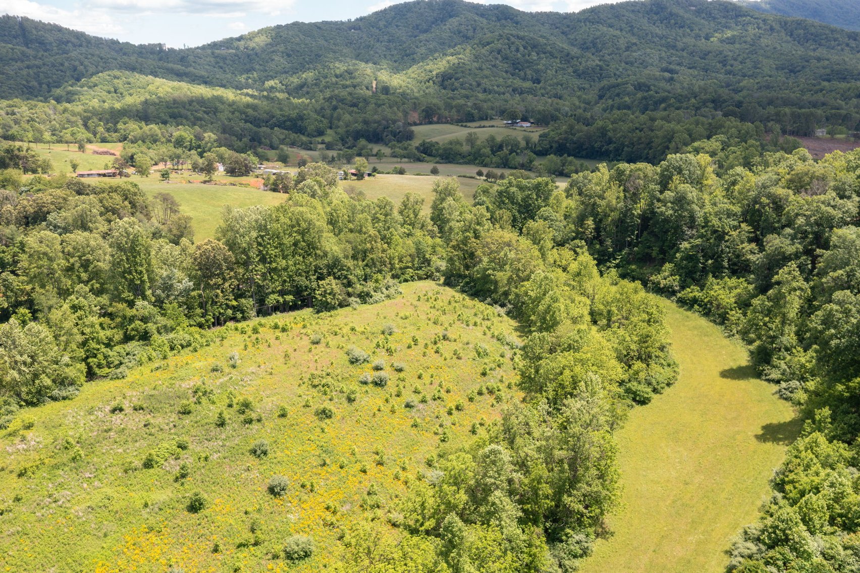 Image for BREATHTAKING MOUNTAIN VIEWS: Blue Ridge Estate Auction - 158-Acre Farm & Building Lot - Amherst, VA