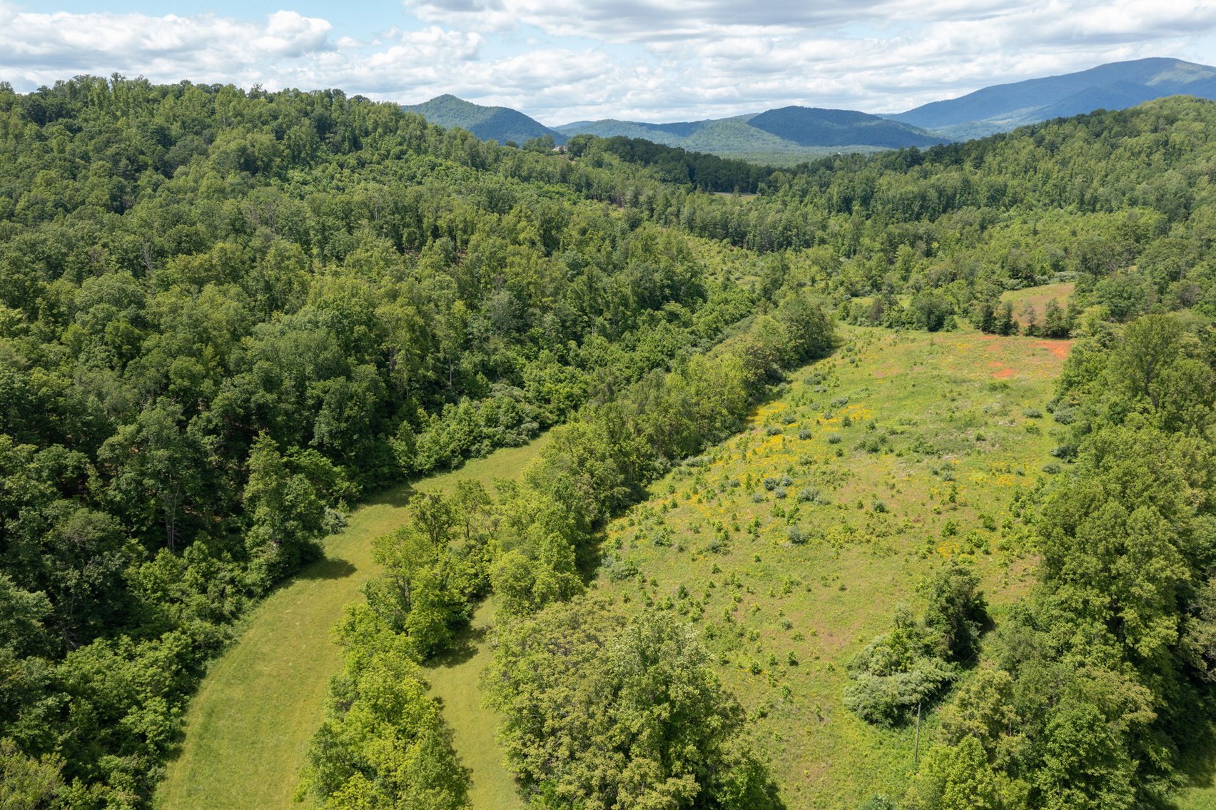 Image for BREATHTAKING MOUNTAIN VIEWS: Blue Ridge Estate Auction - 158-Acre Farm & Building Lot - Amherst, VA