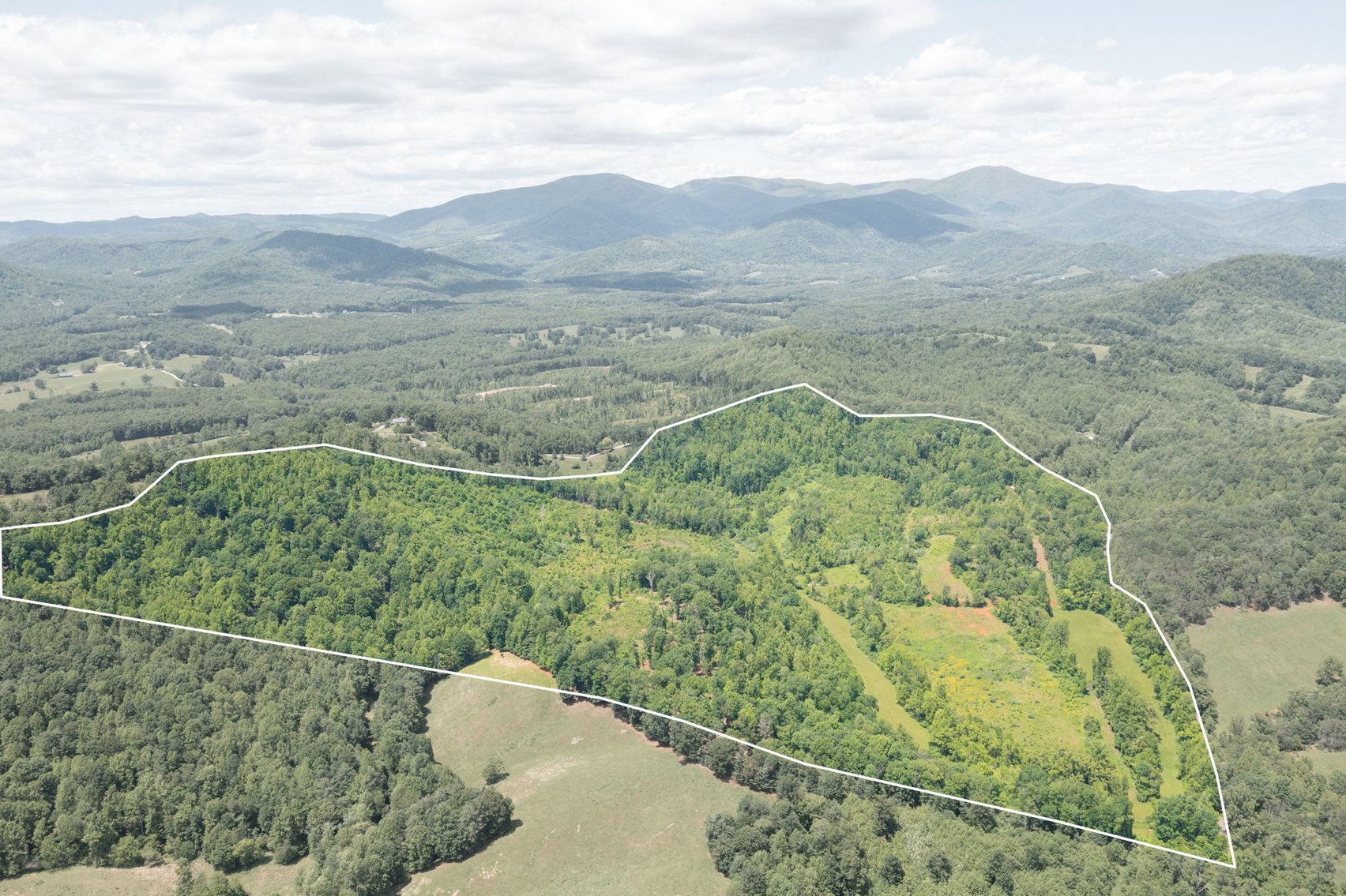 Image for BREATHTAKING MOUNTAIN VIEWS: Blue Ridge Estate Auction - 158-Acre Farm & Building Lot - Amherst, VA