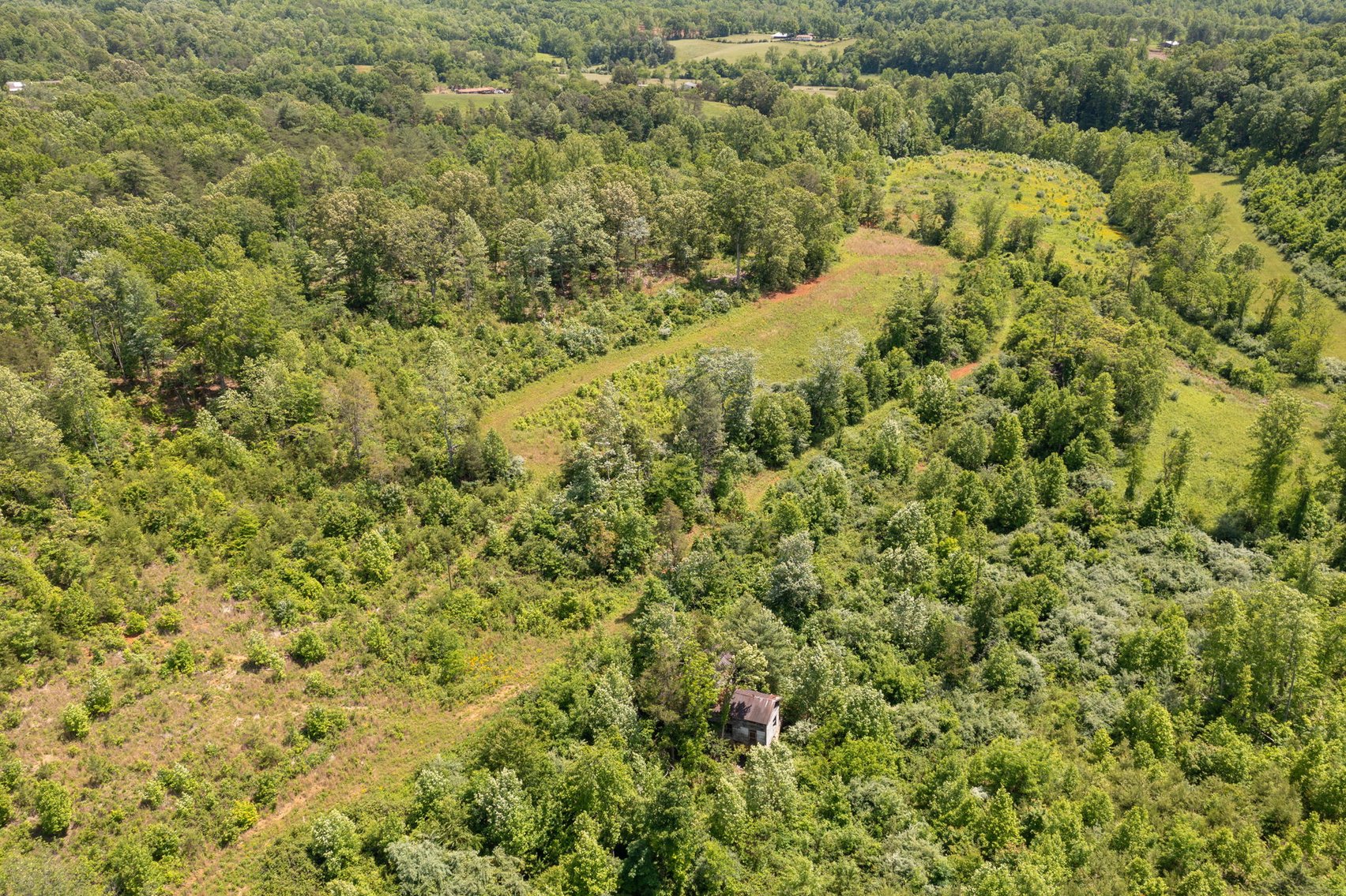 Image for BREATHTAKING MOUNTAIN VIEWS: Blue Ridge Estate Auction - 158-Acre Farm & Building Lot - Amherst, VA