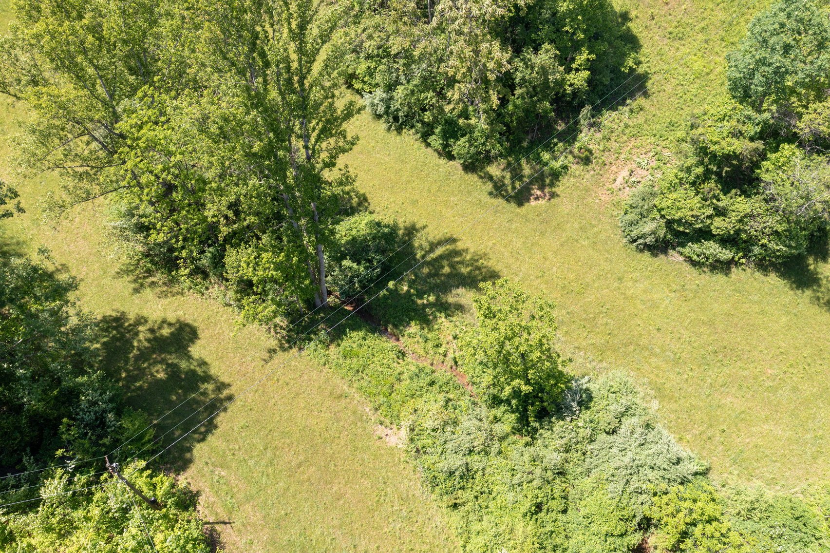 Image for BREATHTAKING MOUNTAIN VIEWS: Blue Ridge Estate Auction - 158-Acre Farm & Building Lot - Amherst, VA