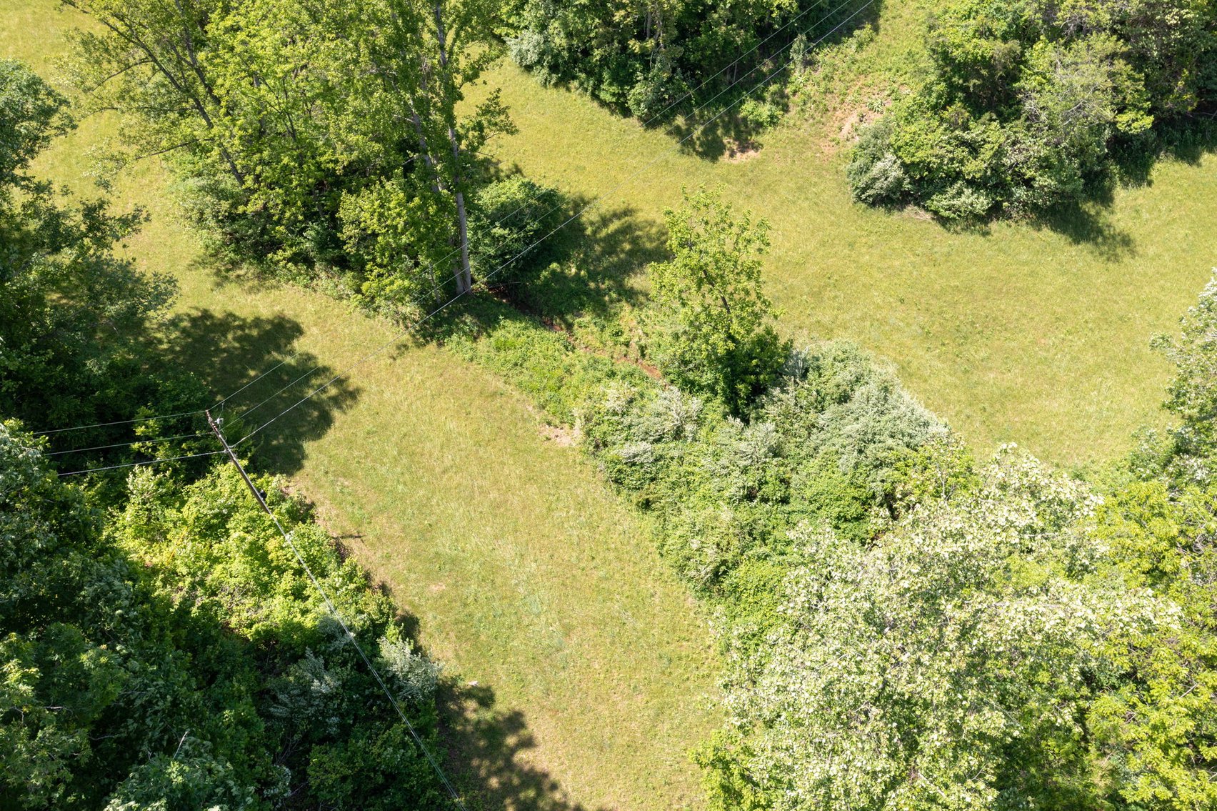 Image for BREATHTAKING MOUNTAIN VIEWS: Blue Ridge Estate Auction - 158-Acre Farm & Building Lot - Amherst, VA