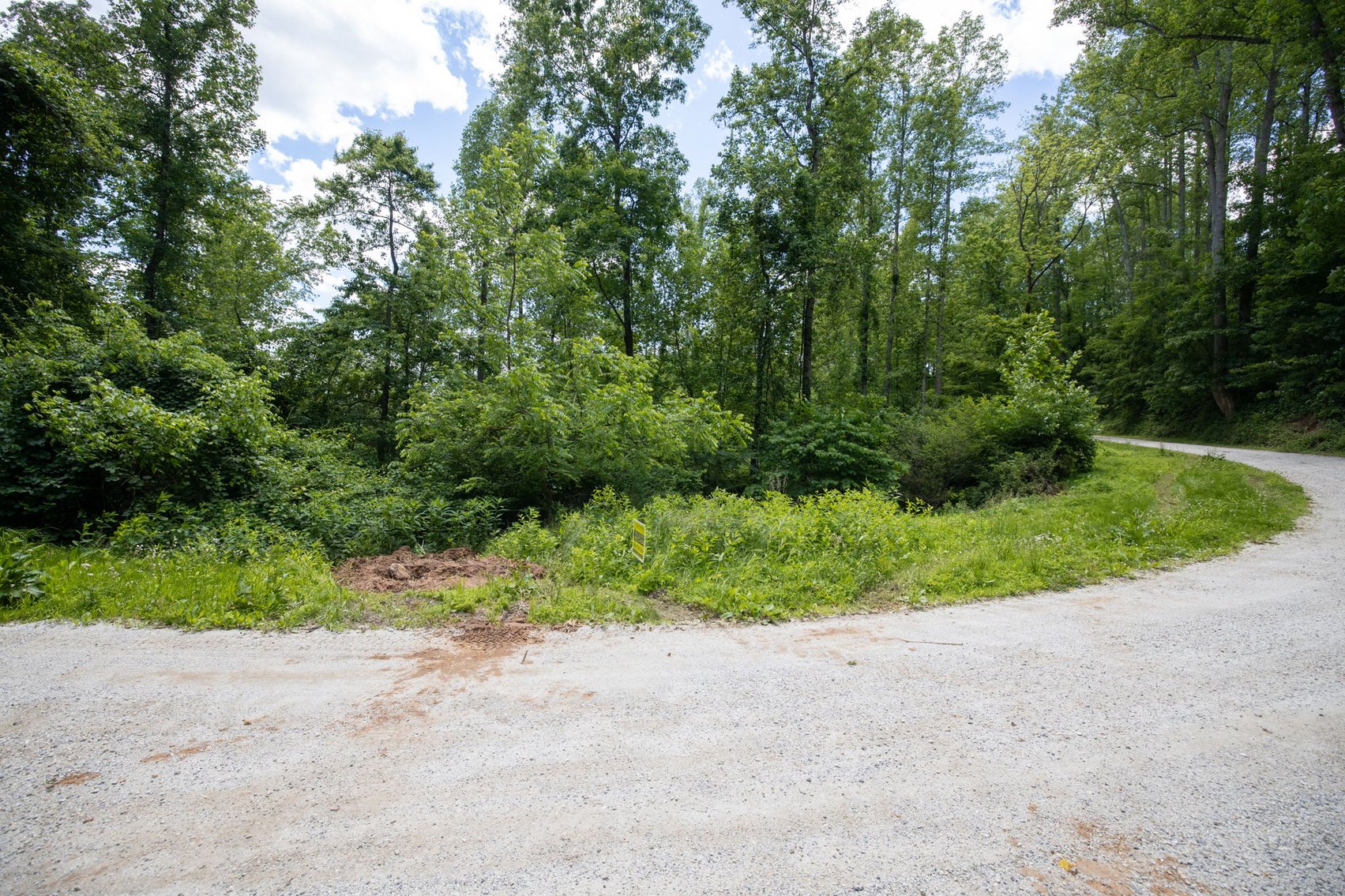 Image for BREATHTAKING MOUNTAIN VIEWS: Blue Ridge Estate Auction - 158-Acre Farm & Building Lot - Amherst, VA