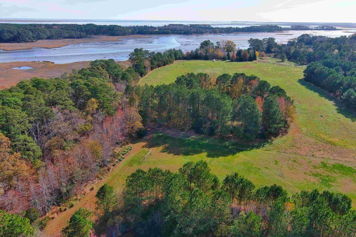 Image for Eastern Shore Farm Auction - 33 to 92 Acres - Creek Frontage, Hunting Land, Hobby Farm & Commercial Nursery - Virginia