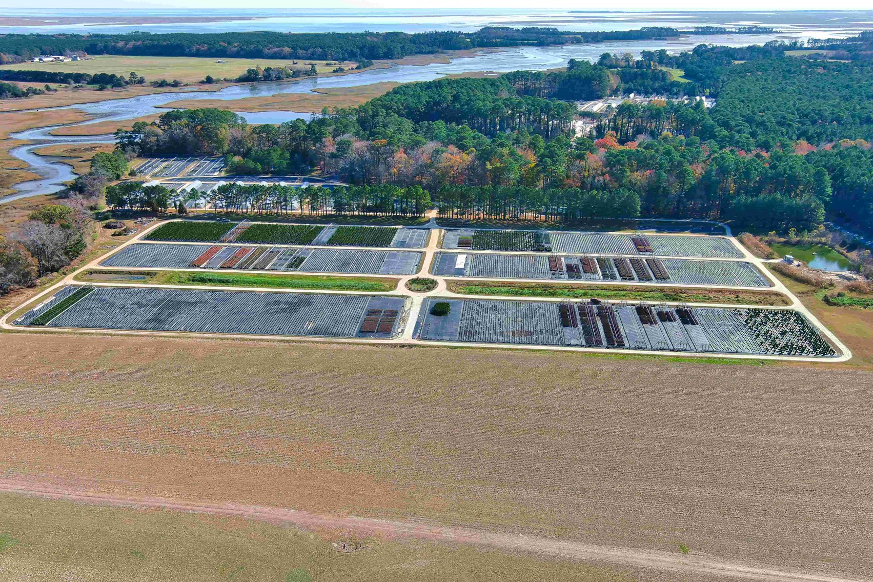 Image for Eastern Shore Farm Auction - 33 to 92 Acres - Creek Frontage, Hunting Land, Hobby Farm & Commercial Nursery - Virginia