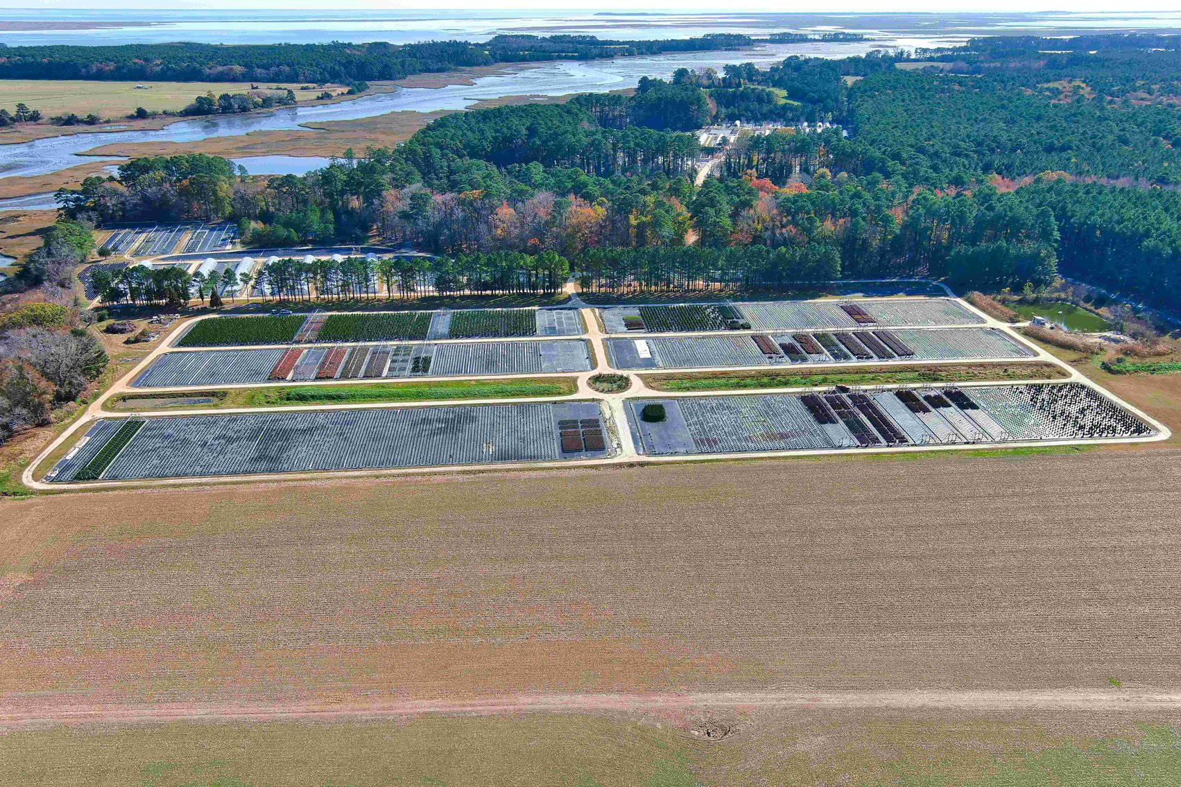 Image for Eastern Shore Farm Auction - 33 to 92 Acres - Creek Frontage, Hunting Land, Hobby Farm & Commercial Nursery - Virginia
