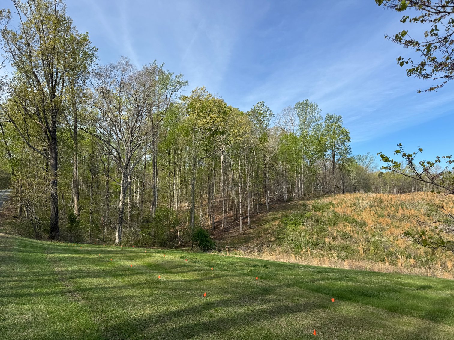 Image for 4 of 4 - Cumberland, VA | 8-acre Parcel on Route 711