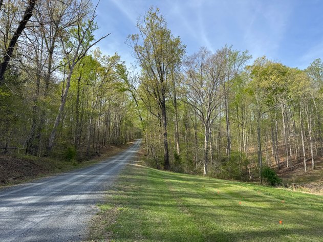 Image for 4 of 4 - Cumberland, VA | 8-acre Parcel on Route 711