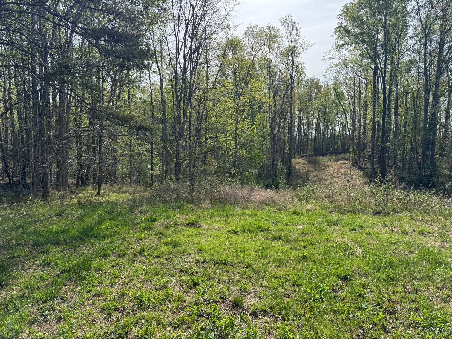 Image for 4 of 4 - Cumberland, VA | 8-acre Parcel on Route 711