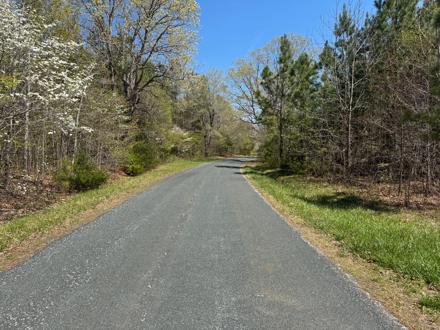Image for 1 of 4 - Nelson County, VA | 10.5 Acres of Prime Rural Virginia Land Near Allens Creek