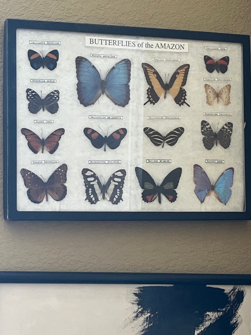 Image for Exquisite Online Estate Auction