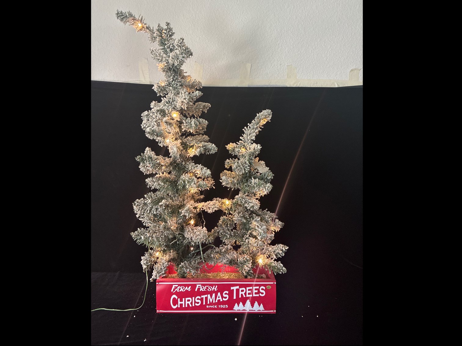 Image for February 2026 Lago Vista Consignment Auction