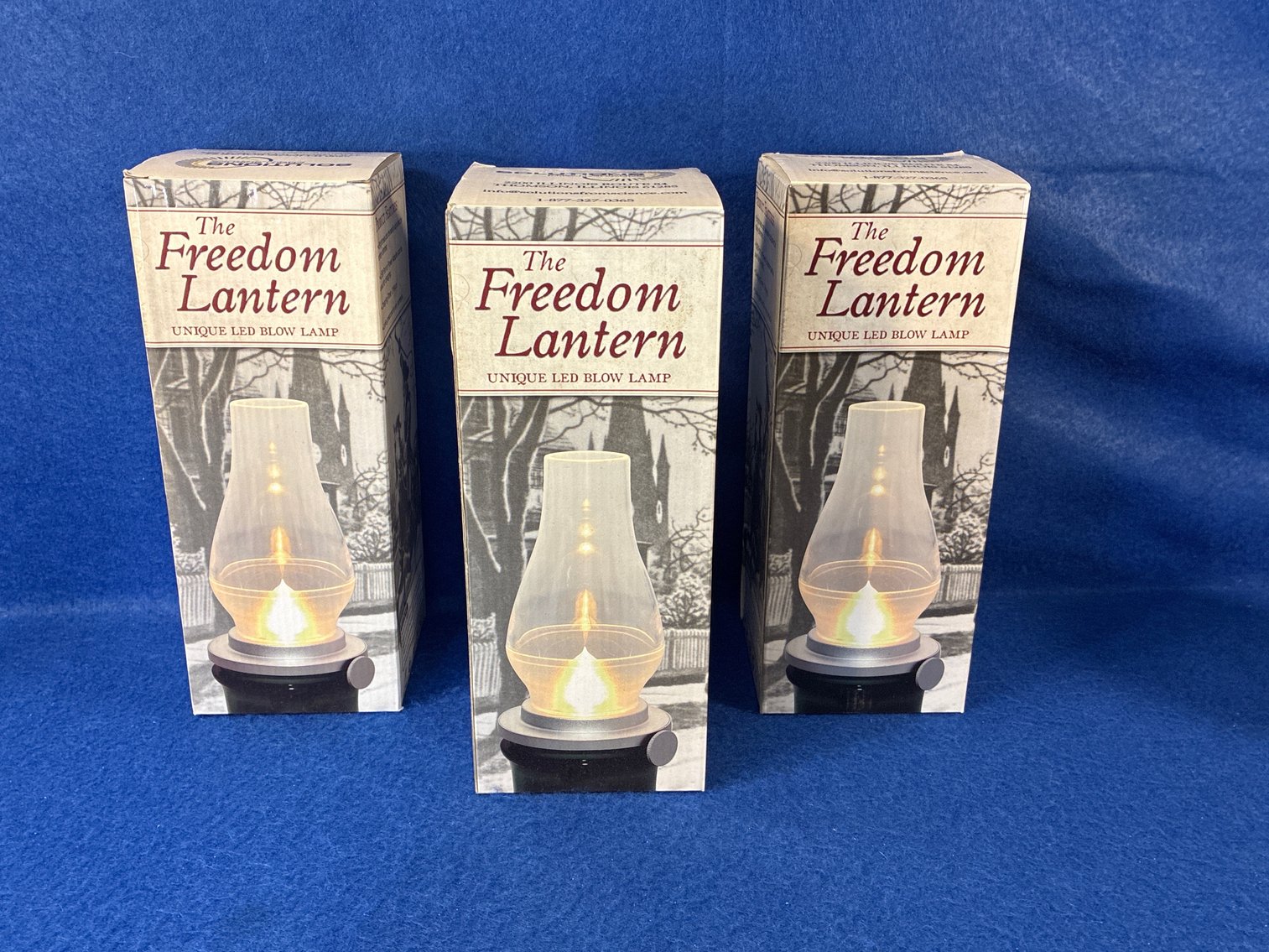 Image for February 2026 Lago Vista Consignment Auction