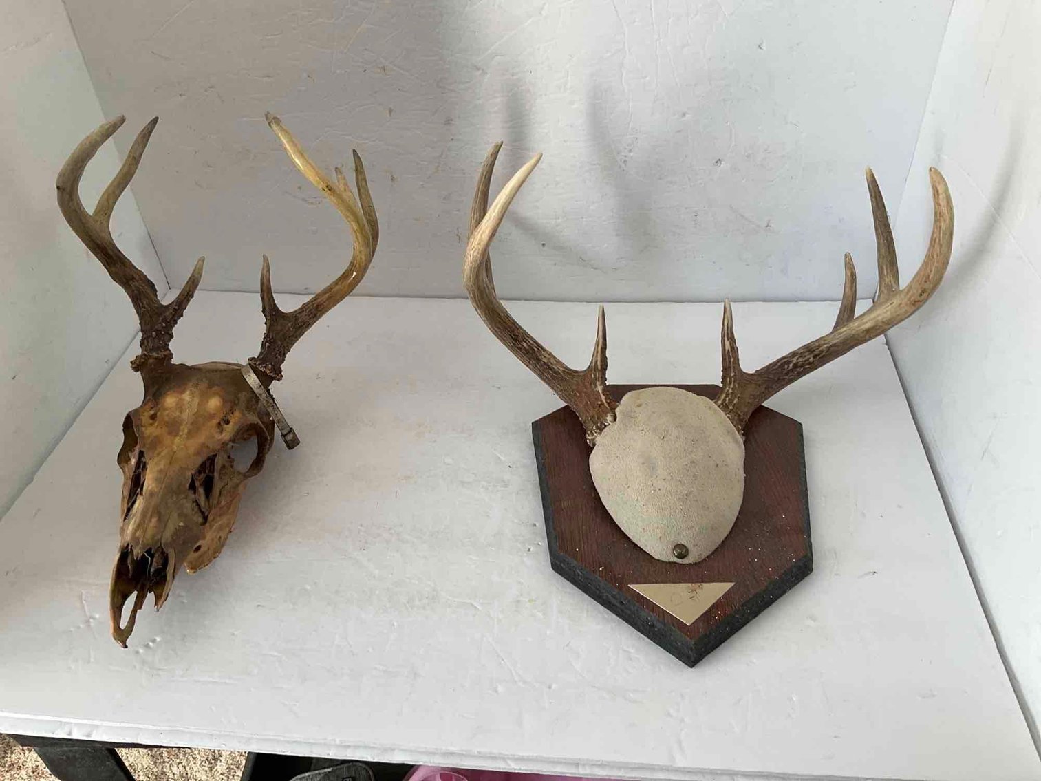 Image for Furniture, collectibles, household-Open Gate Trail