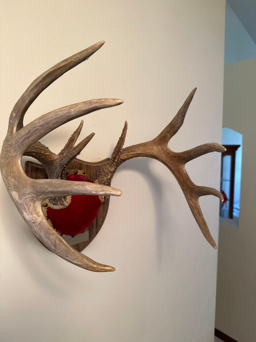 Image for Furniture, collectibles, household-Sitka
