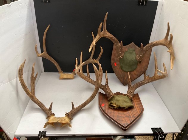 Image for Furniture, collectibles, household-Main back